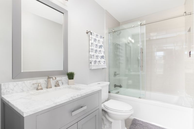 Top Tub To Shower Conversion Companies in Boulder, CO